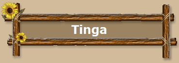 Tinga