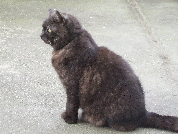 DSCF0586